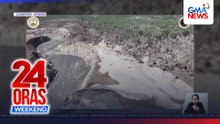 Mga pananim sa loob ng Mayon permanent danger zone, nangamatay sa ashfall | 24 Oras Weekend