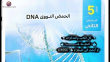 شرح تركيب الـ DNA (1) من الصفر.. كل ما تحتاج معرفته!