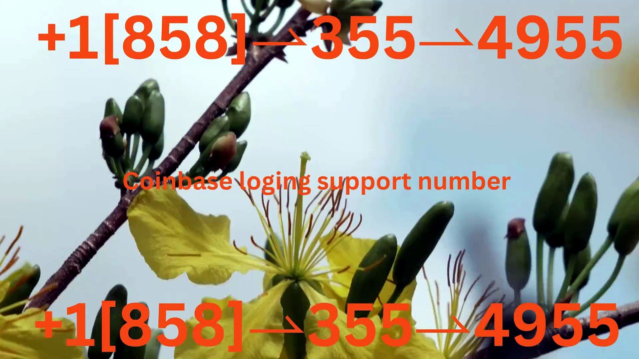 【Full】℠ [*List] of Coinbase Toll Free nUmbers in the USA: The Ultimate Explained Guide