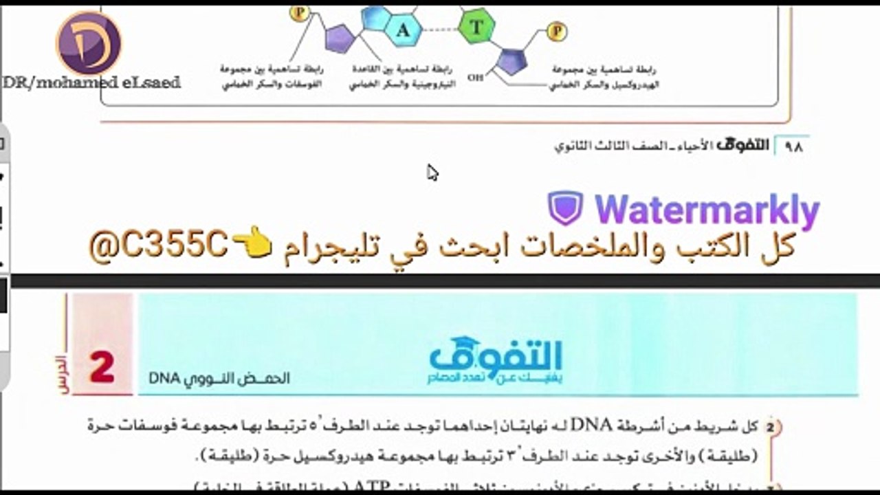 شرح تركيب الـ DNA (2) من الصفر.. كل ما تحتاج معرفته!