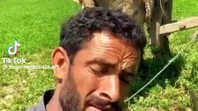 VID-20260503-WA0029