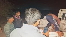 Video: नीलगाय पर श्वानों का हमला, वन्यजीव प्रेमियों ने बचाई जान