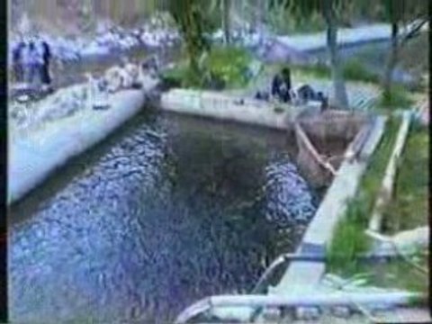 egri göl belgesel güreş türkiye komik at eşşek tekbasina42