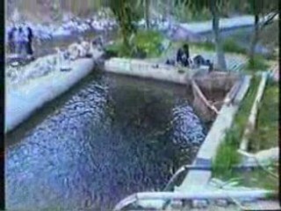 egri göl belgesel güreş türkiye komik at eşşek  tekbasina42