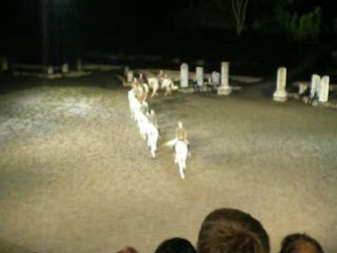 Bartabas. Partitions equestres (extrait)