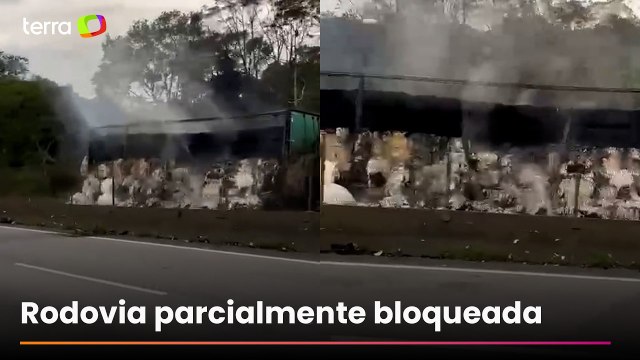 Caminhão pega fogo e interdita pista da Anchieta no sentido São Paulo