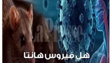 هل فيروس هانتا ينتقل بين البشر؟.. مستشار رئيس الجمهورية للصحة يحسم الجدل