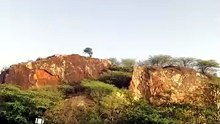 Mhari Dhani