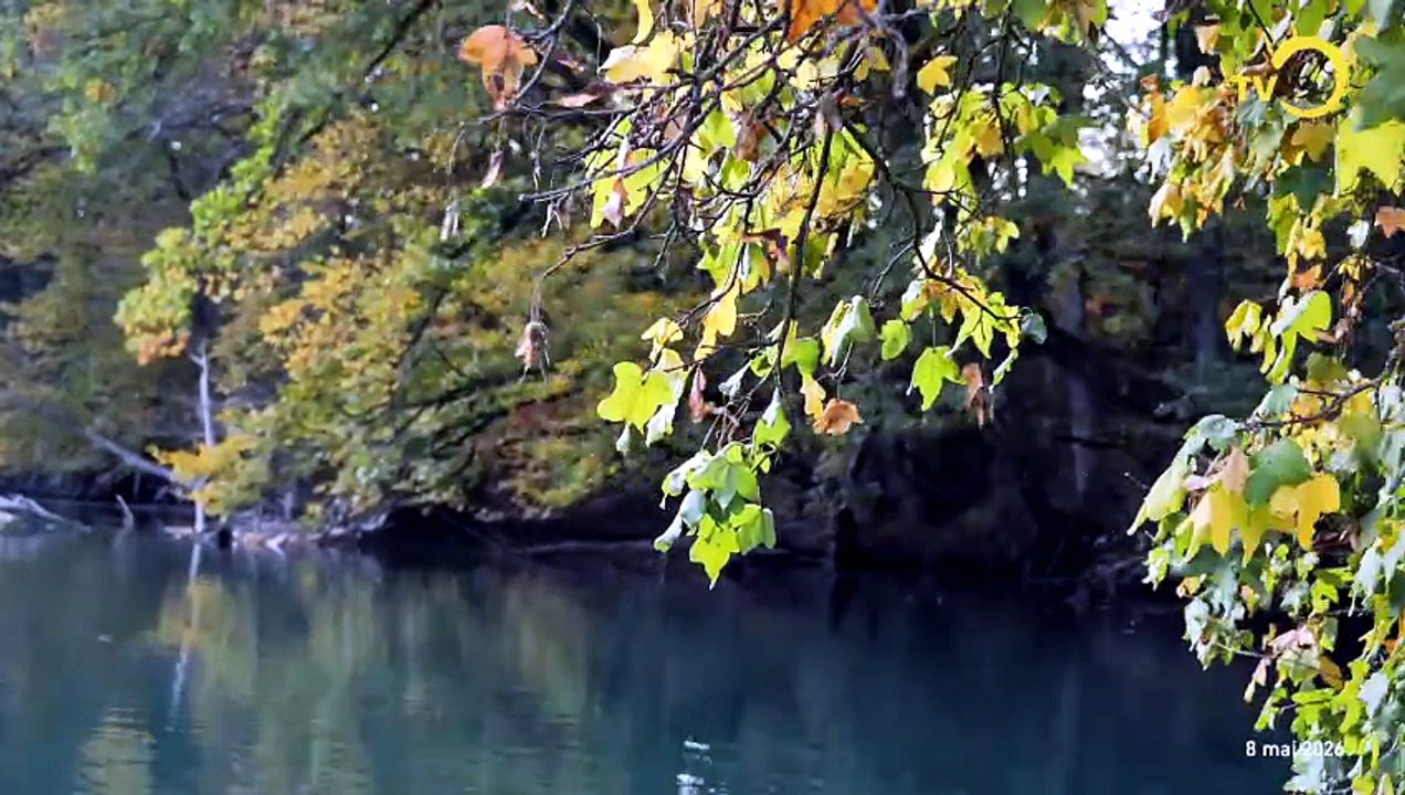 Sans commentaire: descente du Rhône.