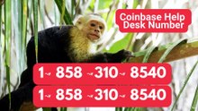 ≋ ¶ BIG COI】 ⁂Coinbase® Toll free© helpline® Numbers Contact⁂ (24/7) Live Person Care)