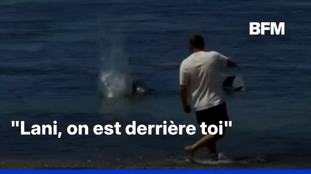 Un homme filmé en train de jeter une pierre sur une espèce de phoque menacée à Hawaï