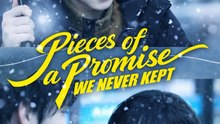 Pieces of a Promise We Never Kept