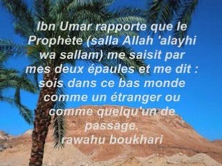 Hadiths - délaisser ce bas monde