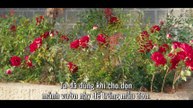 [TẬP 2] Kẻ Thù Hoàng Gia Của Tôi | VIETSUB