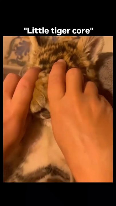 So cute