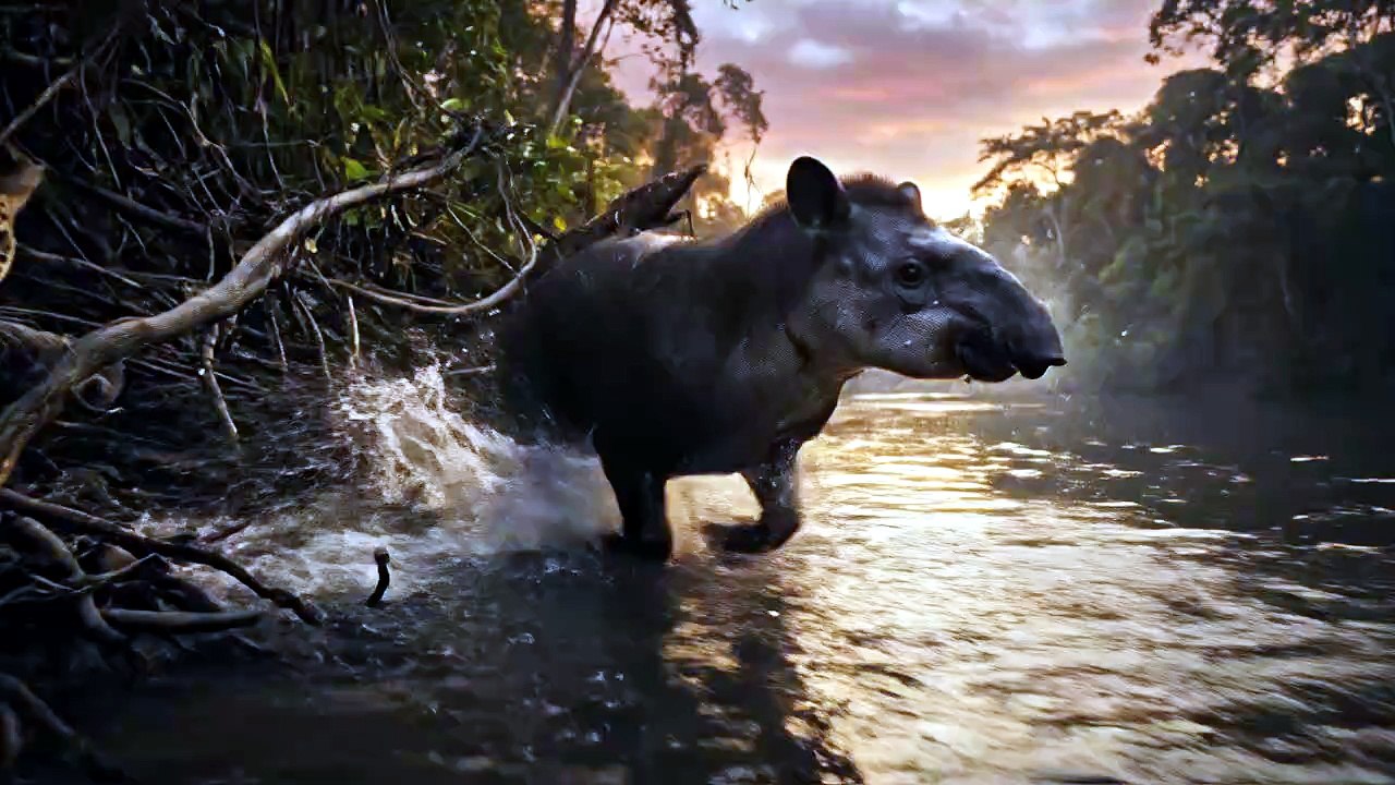 Tapir River Crossing Escape