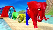 Paint Animals Gorilla Hippopotamus Elephant in Spiderman Texture  Fountain Crossing Animal Cartoon