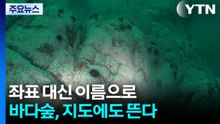 좌표 대신 이름으로...바다숲, 지도에도 뜬다 / YTN