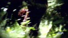 PARANORMAL SUR LE VIF 14   2026
