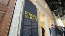 Strange Rules. Group Show at Palazzo Diedo, Venice