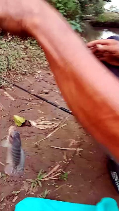 Mancingmania fishing