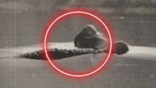 🚨 It’s NOT a Fish: The Congo Legend Finally Caught on Camera?