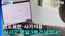 혐오 표현·사기 이용...'AI 사고' 한 달 3백 건 넘었다 / YTN