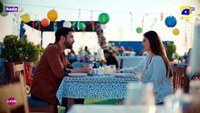 Humrahi Episode 14