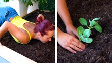 Creative Gardening Hacks for Amazing Yields