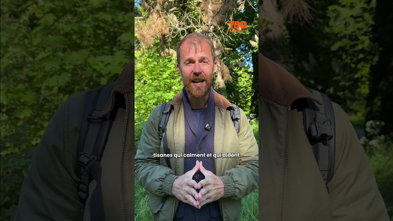 On a trouvé le meilleur spot de courses (et c'est gratuit) ! 🤫🌿  | 750g