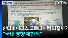 한타바이러스, 코로나처럼 퍼질까?..."국내 영향 제한적" / YTN