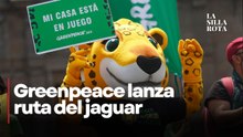 "Kanan" alerta de la destrucción de la Selva Maya en México