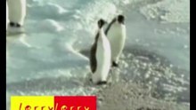 Lustige Filme