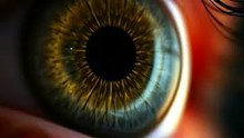 Your Brain Controls You (Not The Other Way)
