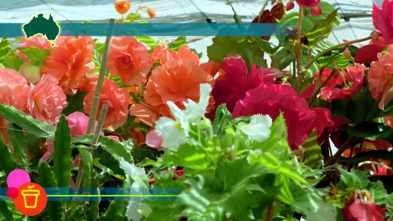 Gardening Australia 2026 Episode 13