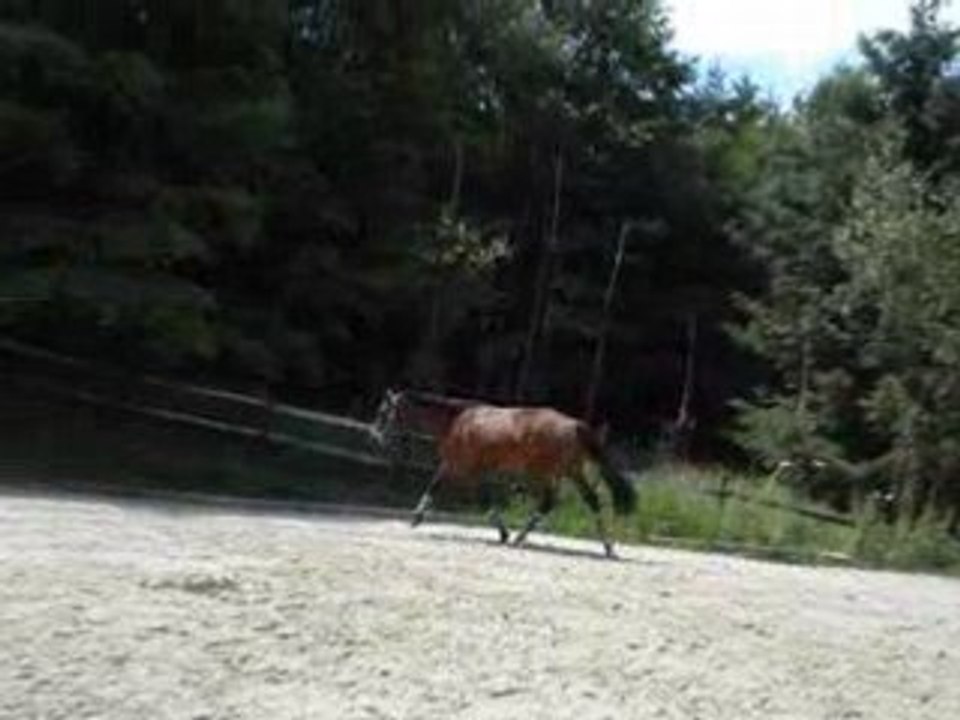 Opium saut en liberté 85cm
