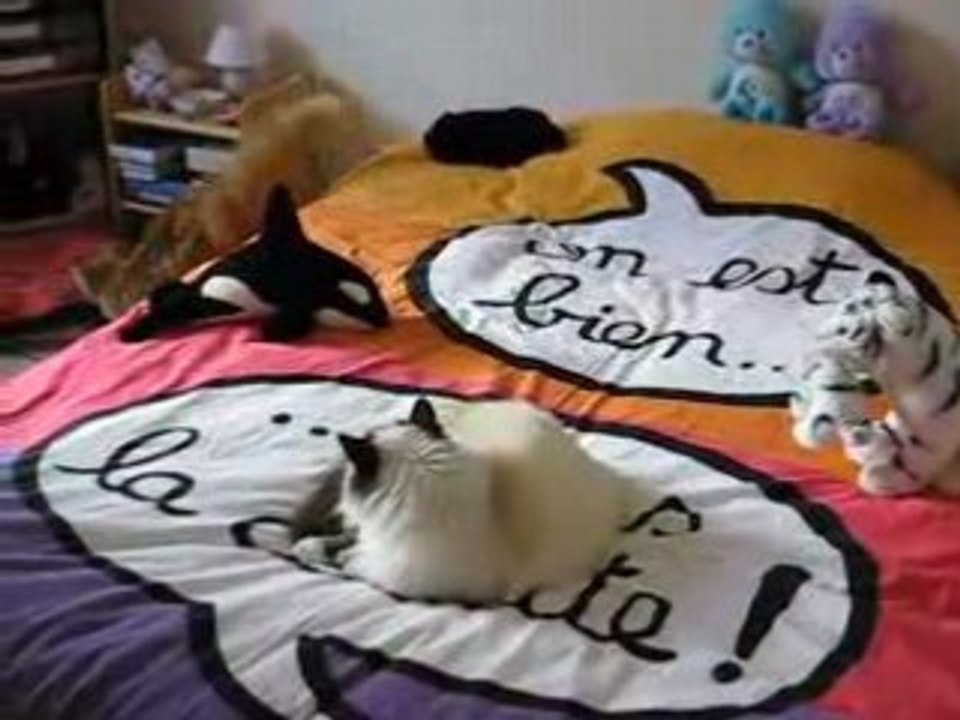 Sweetie & Ronron