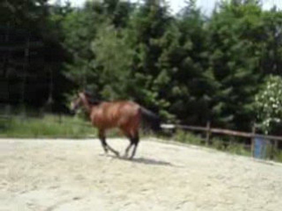 Opium saut en liberté 1m05
