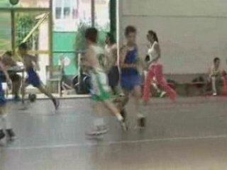 mini poussins sceaux