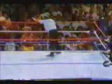 Macho Man VS Hulk Hogan