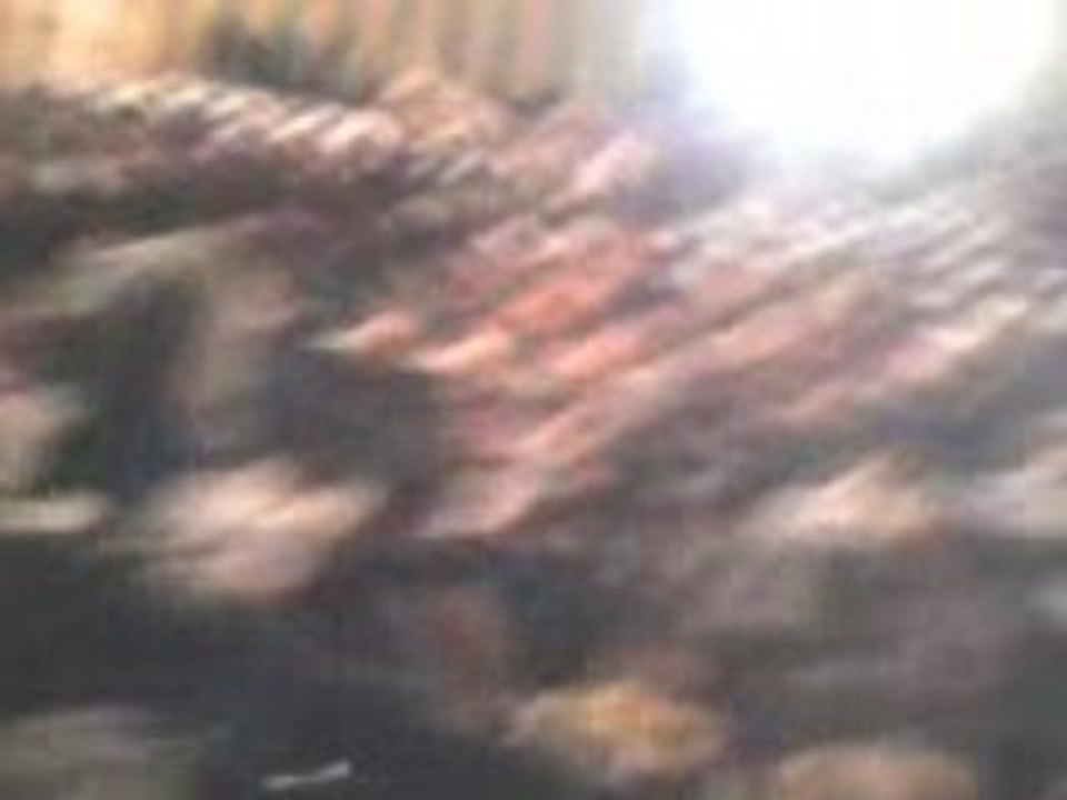 Moi tout seul (a l'avant première seul two)^^