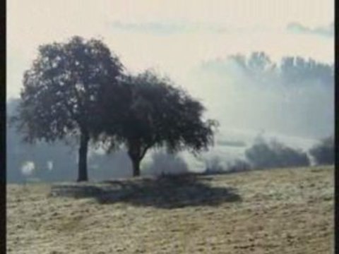 Les matins d'hiver - gérard lenorman