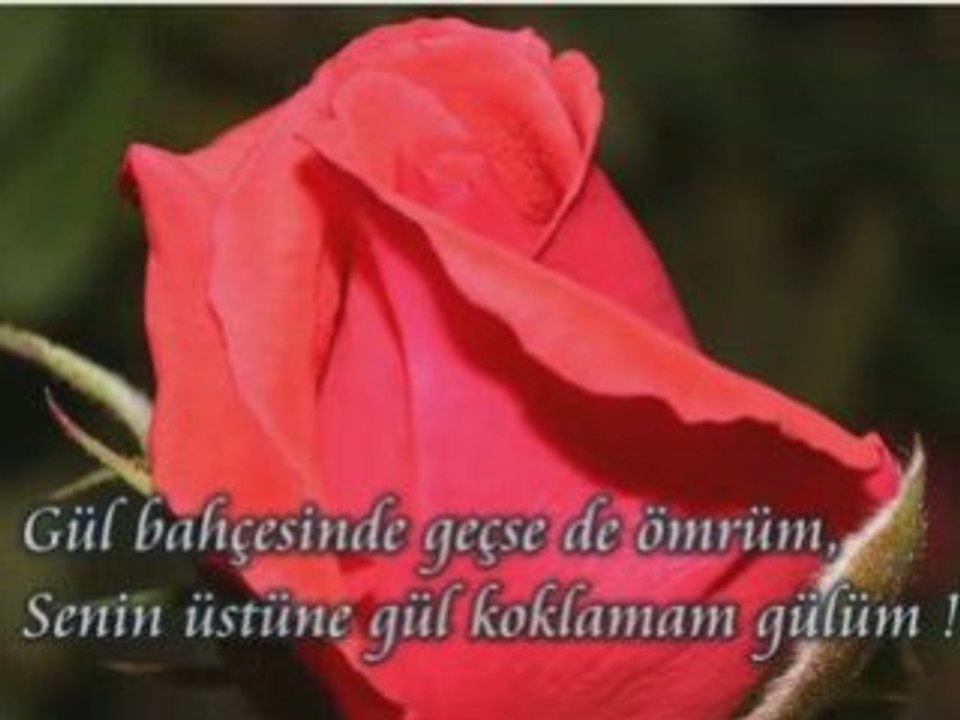 SEVGİ ve TUTKU