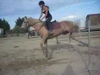 moi et Pacco en cour