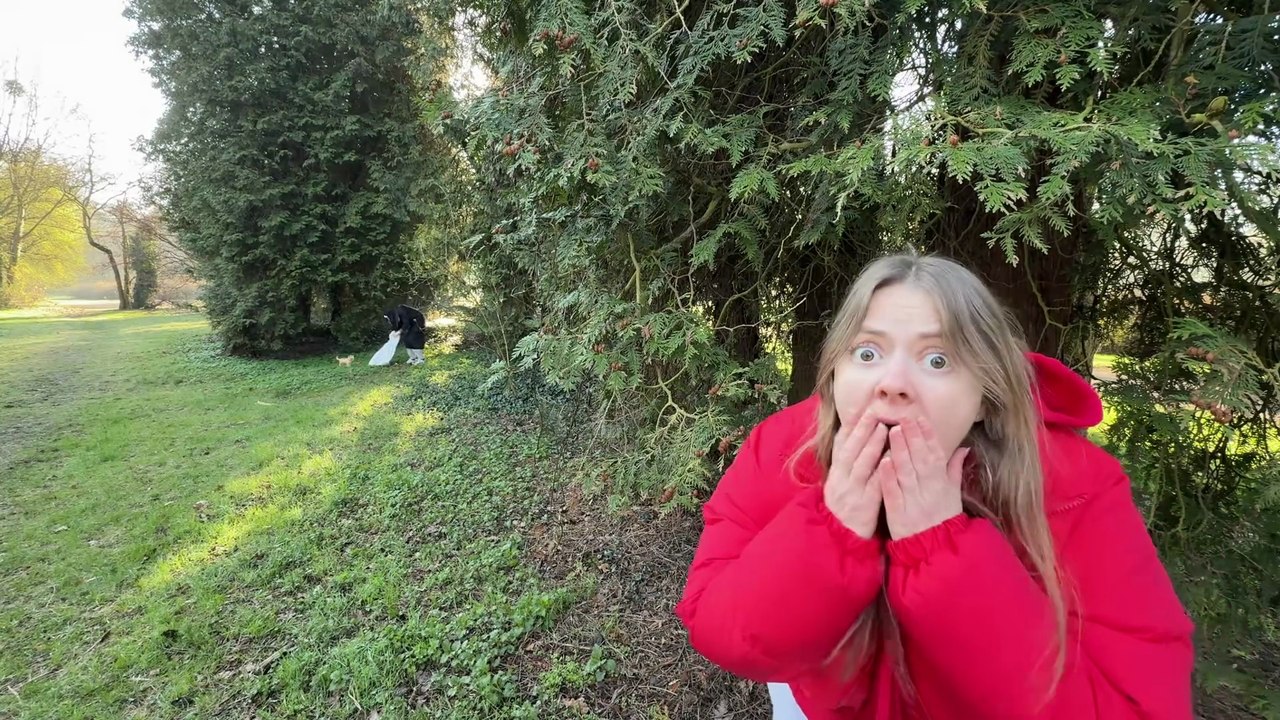 Funny Short Film: Grandma Cat Kidnapper | Comedy Skit with Unexpected Twist.