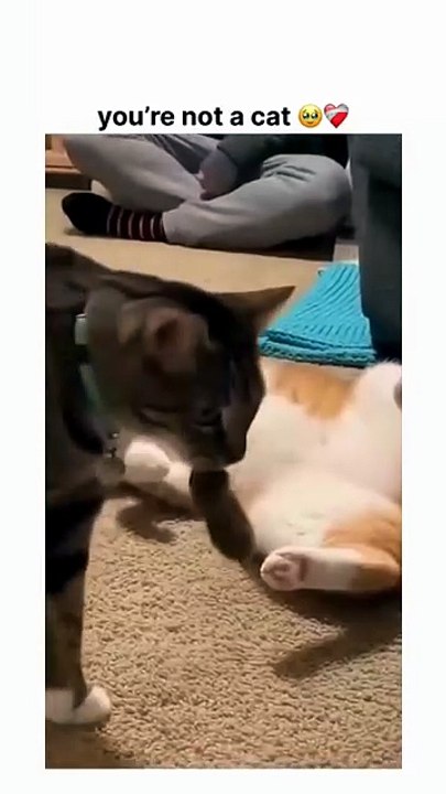 The joke