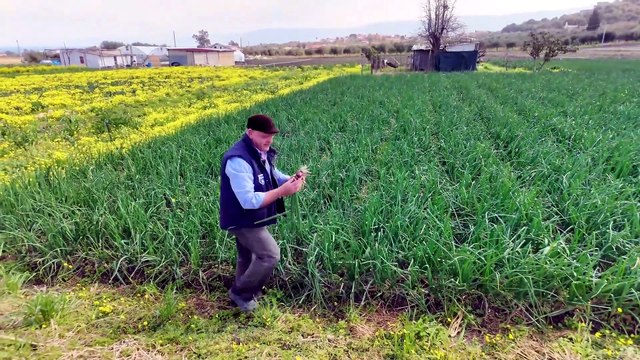 Saluti dalla Calabria , la rossa di Tropea e quella irresistibile marmellata