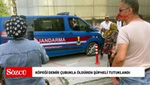 Köpeği demir çubukla öldüren şüpheli tutuklandı