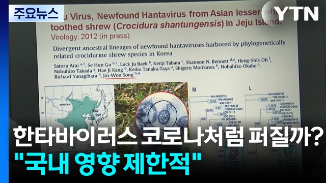 한타바이러스, 코로나처럼 퍼질까?... 국내 영향 제한적 / YTN