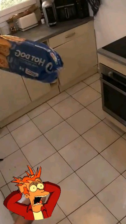 Quel est le fait le plus inutile que tu connaisses ?